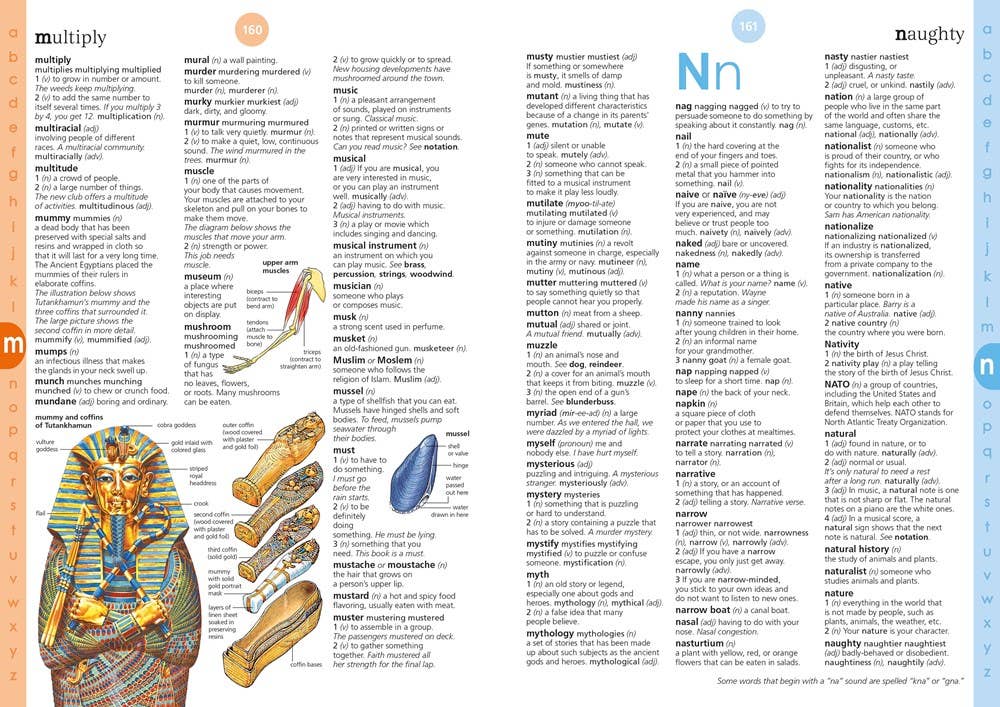 HarperCollins - Illustrated Dictionary : Usborne