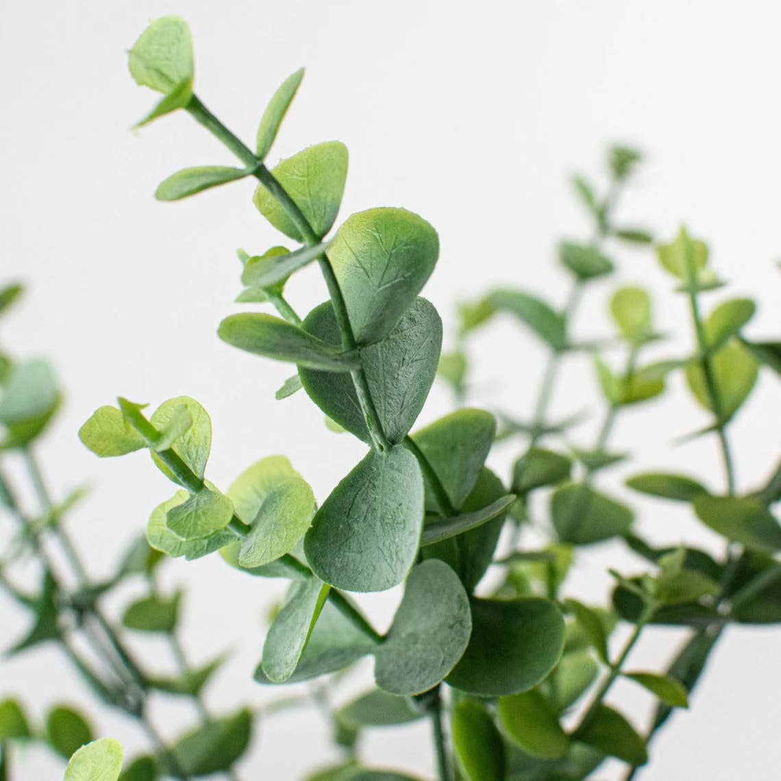 Angel Isabella - 13"Artificial Short stem plastic eucalyptus bush-5 picks