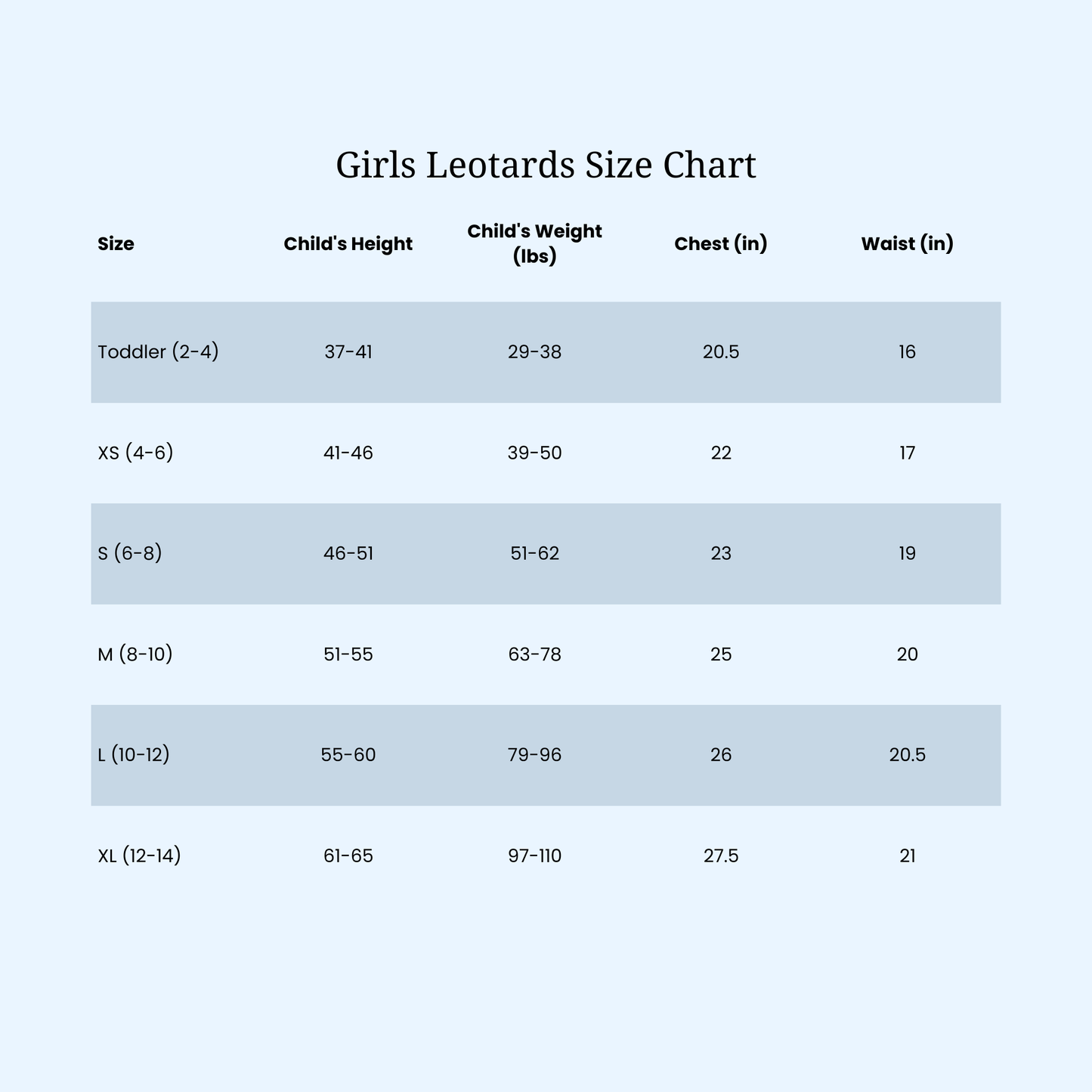 Dance Leotard with attached skirt- Leveret Pajamas