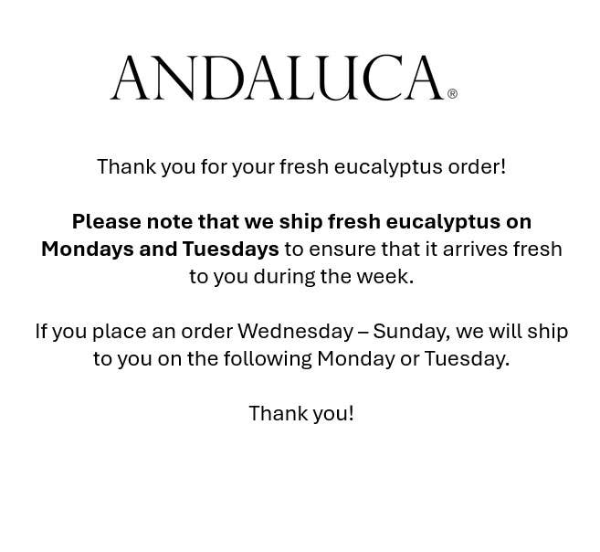 Andaluca - Fresh Eucalyptus Silver Dollar + Baby Blue Mixed Bunches