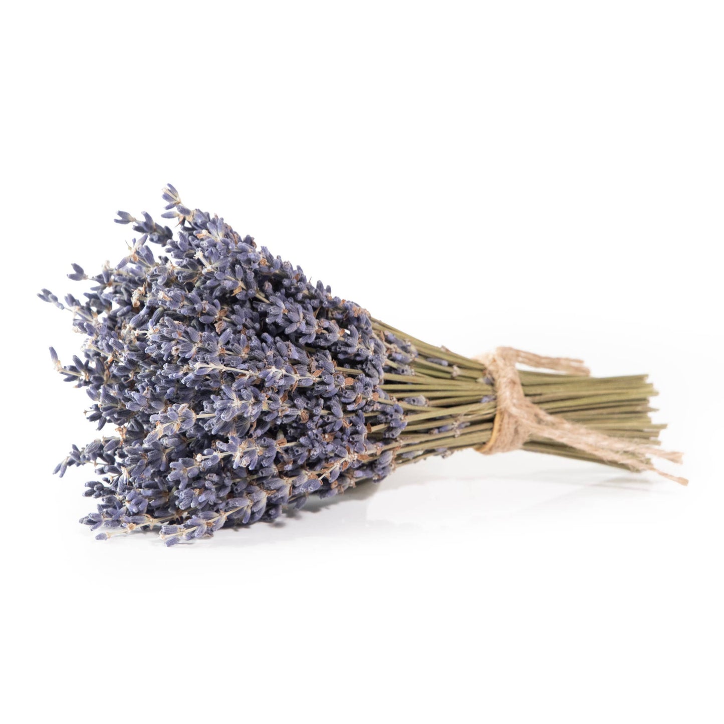 Andaluca - MINI French Lavender Bundle