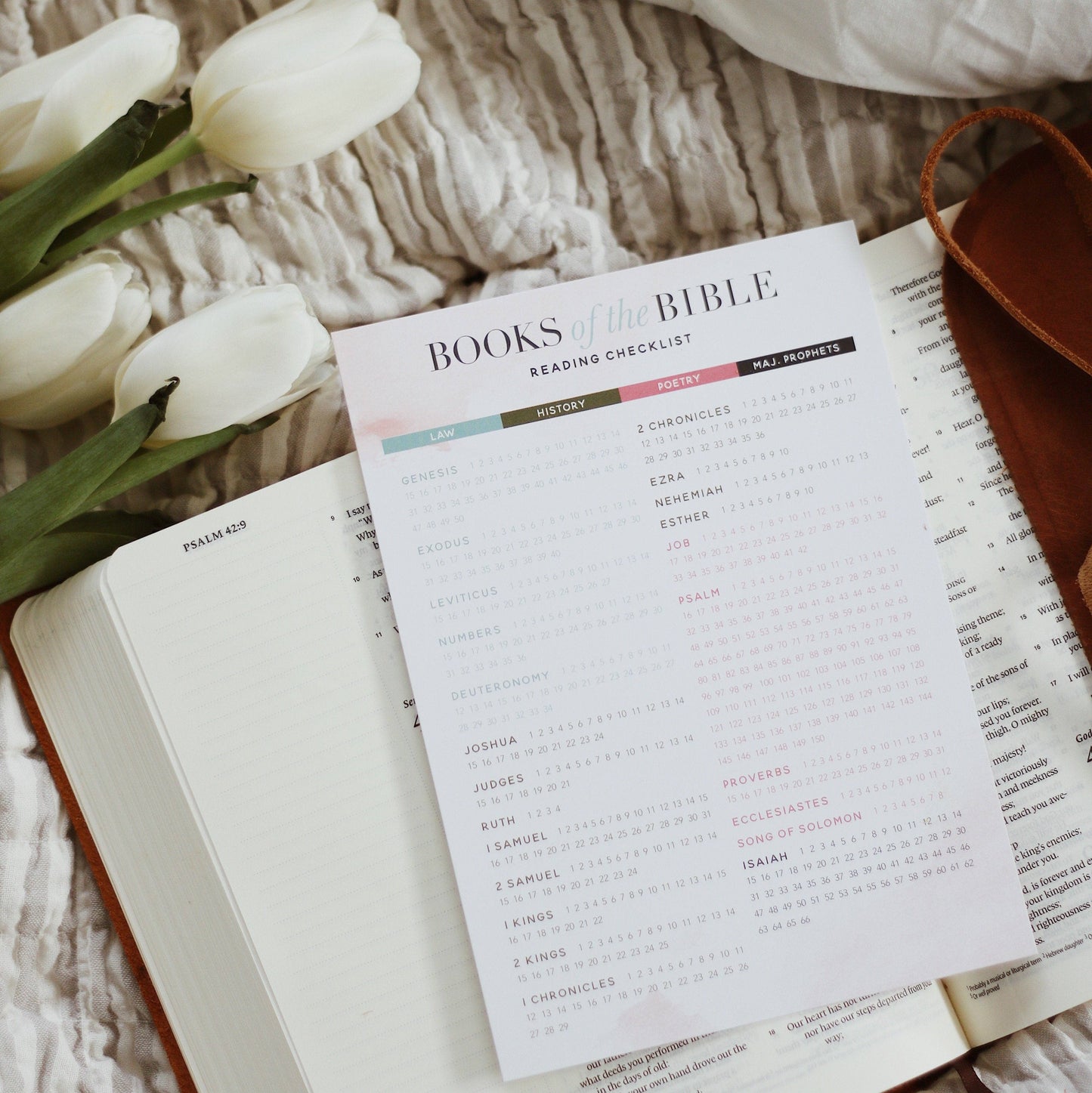 The Daily Grace Co - Books of the Bible Reading Checklist