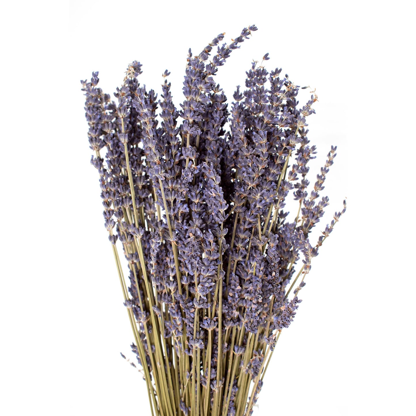 Andaluca - French Lavender Bundle