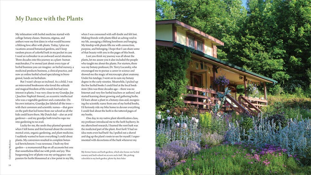 HarperCollins - Healing Garden, The: Juliet Blankespoor