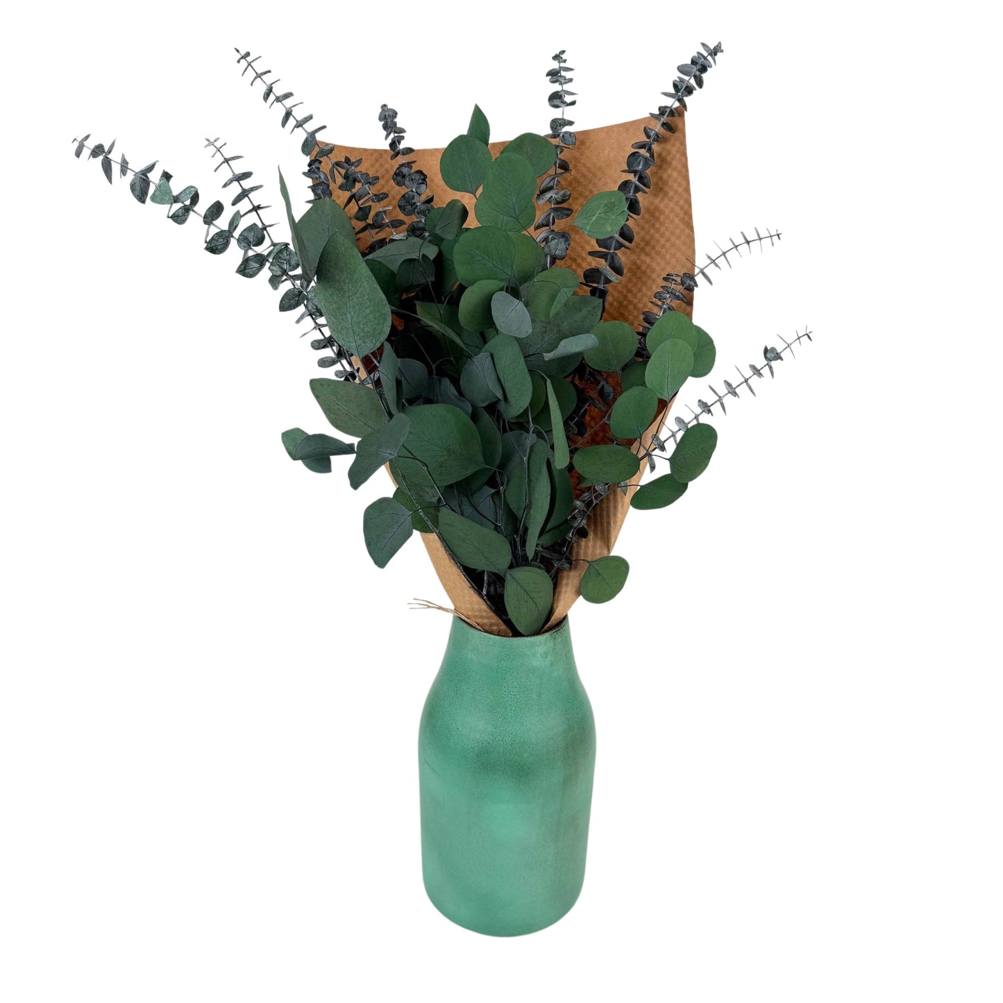 Andaluca - Silver Dollar & Baby Eucalyptus 8 ounce Preserved Bundle