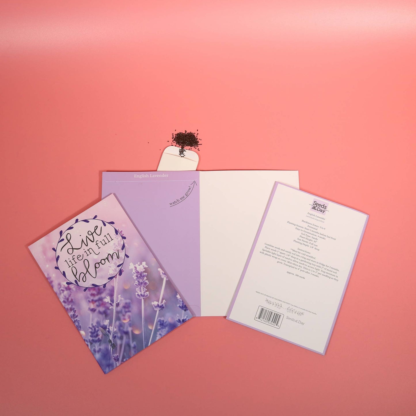 SEED PACKET GREETING CARDS | FREE Display w/36+ Cards