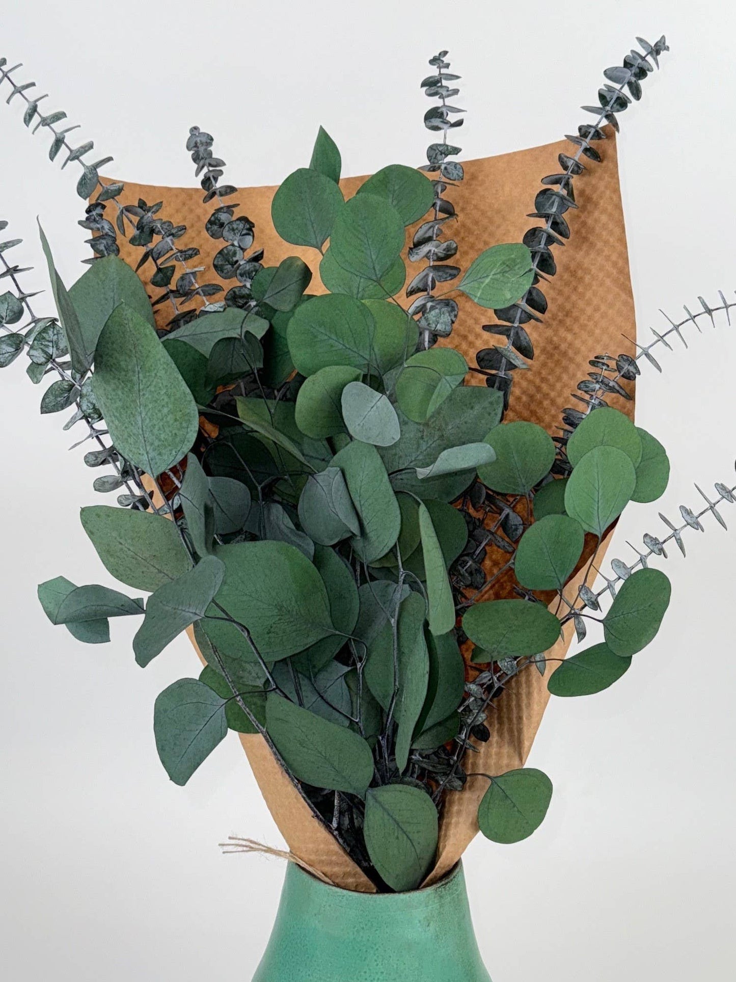 Andaluca - Silver Dollar & Baby Eucalyptus 8 ounce Preserved Bundle