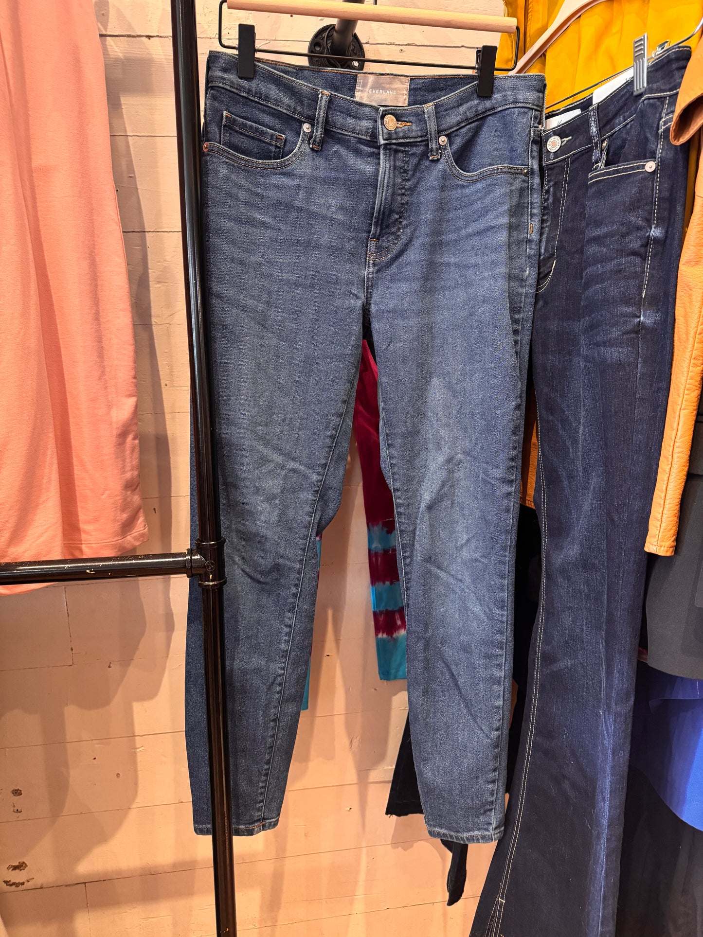 Everlane Skinny Jeans (medium wash)