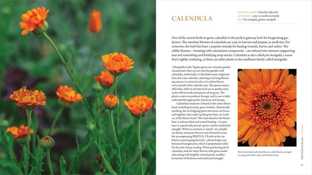 HarperCollins - Healing Garden, The: Juliet Blankespoor