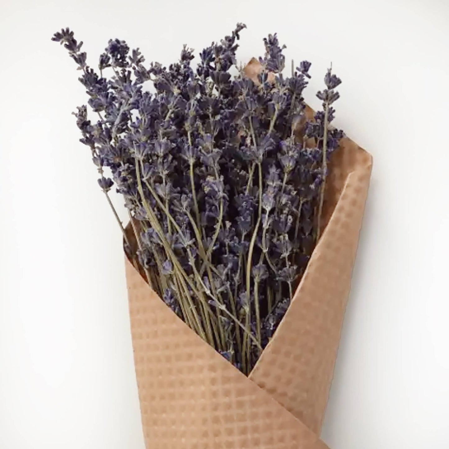 Andaluca - French Lavender Bundle