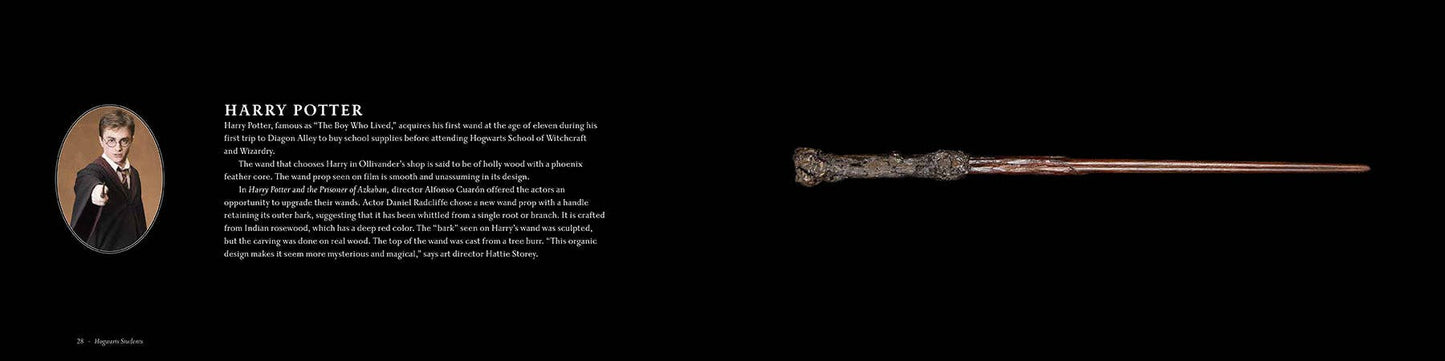 Harry Potter: The Wand Collection Gift Set