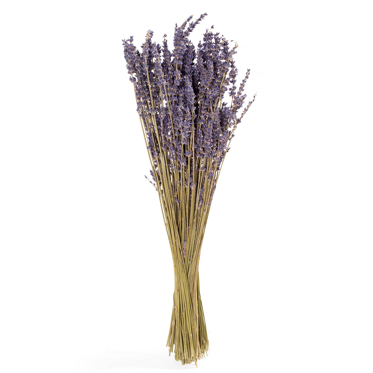 Andaluca - French Lavender Bundle