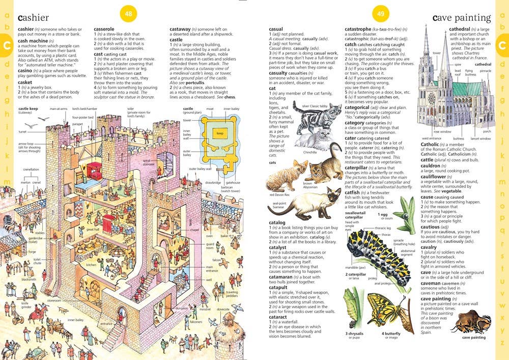 HarperCollins - Illustrated Dictionary : Usborne