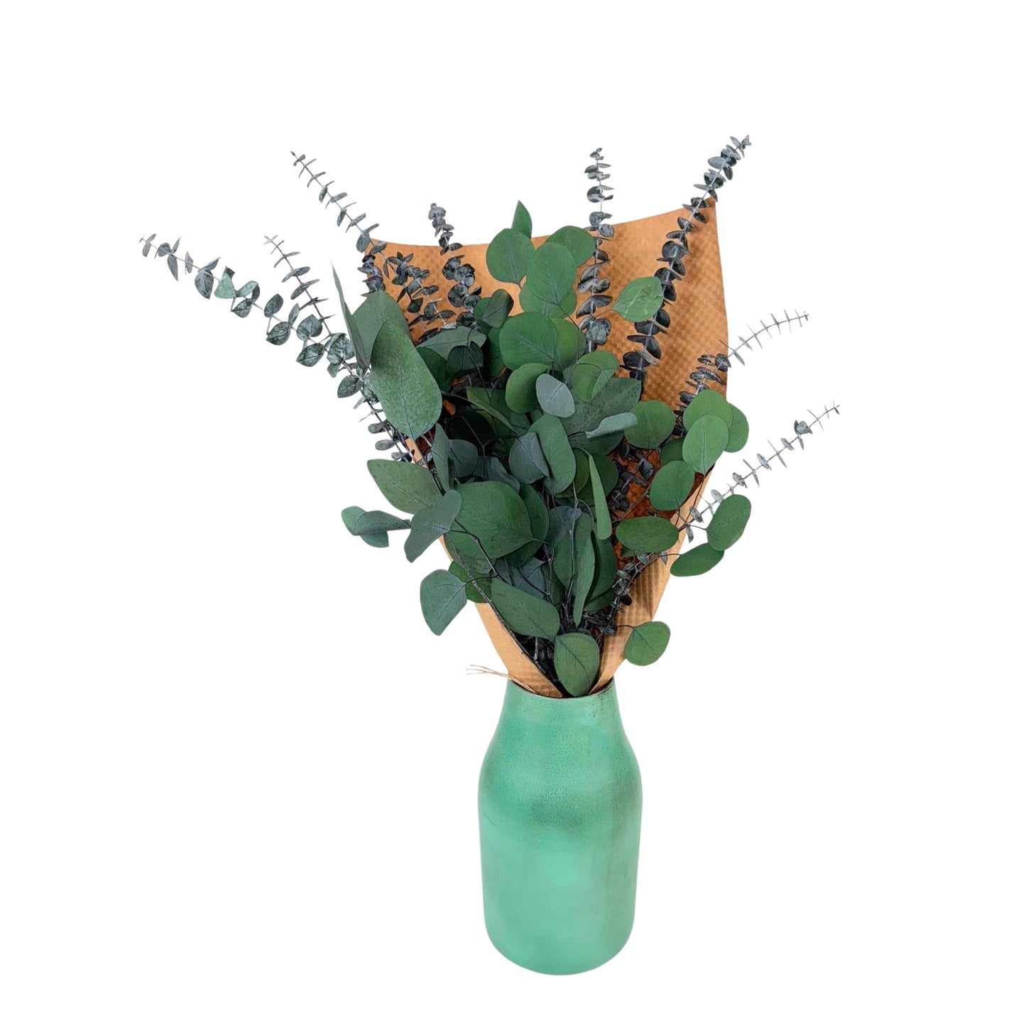 Andaluca - Silver Dollar & Baby Eucalyptus 8 ounce Preserved Bundle