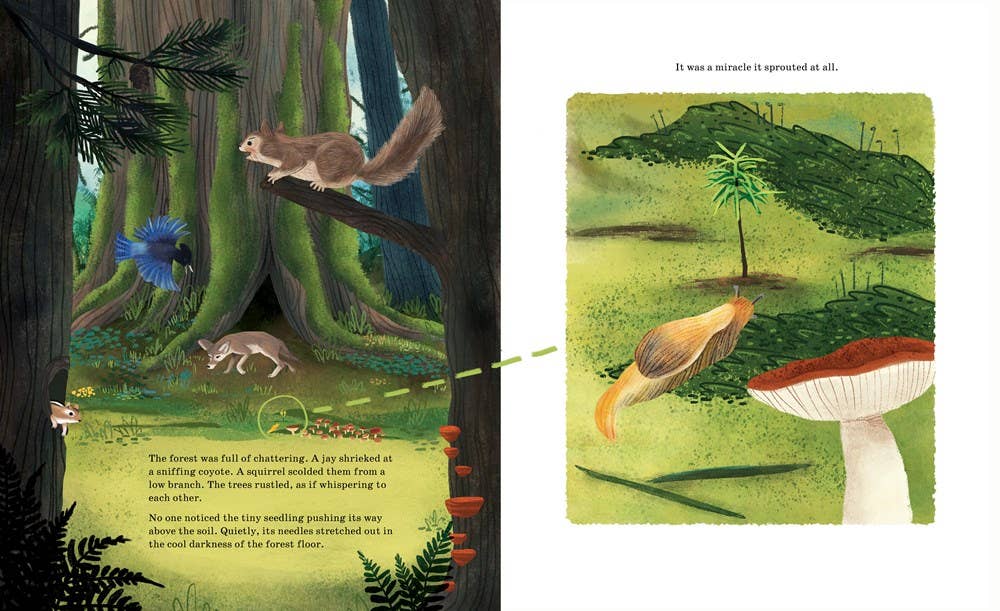 Sourcebooks - Listen to the Language of the Trees (TP)
