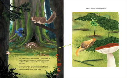 Sourcebooks - Listen to the Language of the Trees (TP)