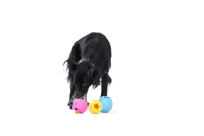 West Paw - Rumbl® Puzzle Treat-Dispensing Enrichment Dog Toy