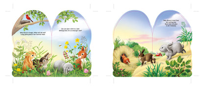 Sourcebooks - Furry Bunny (BB)