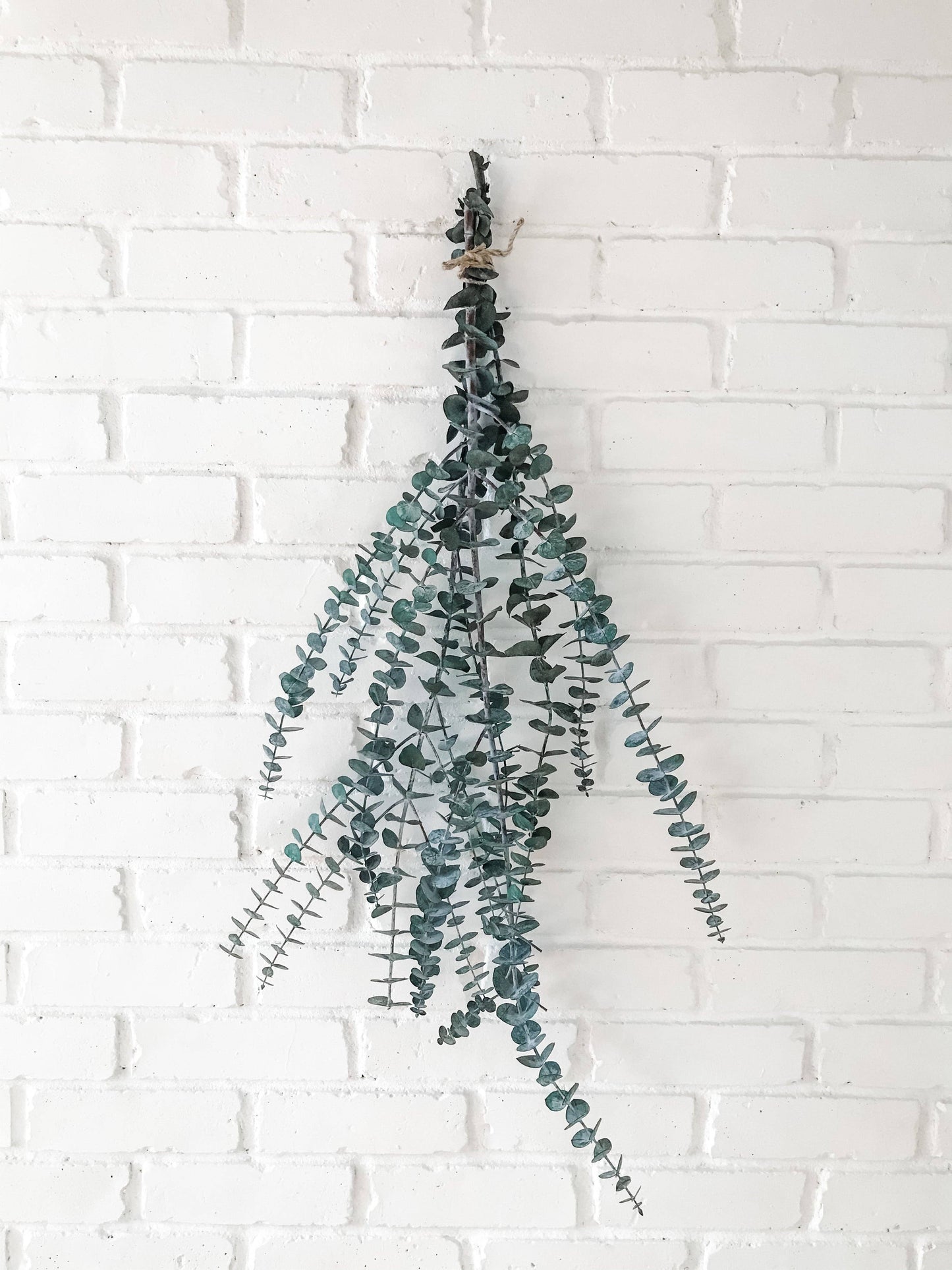 Eucalypt Co. - Eucalyptus Shower Bundle