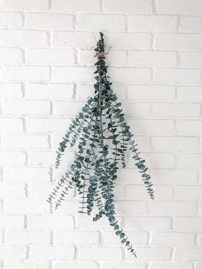 Eucalypt Co. - Eucalyptus Shower Bundle