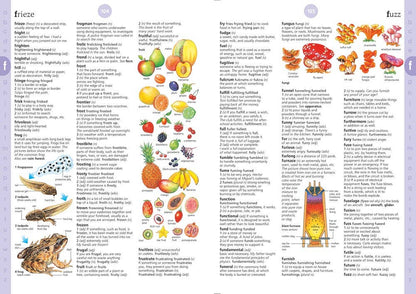 HarperCollins - Illustrated Dictionary : Usborne