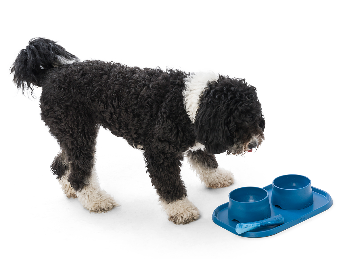 West Paw - Drifty® Dog Toy for Chew, and Fetch