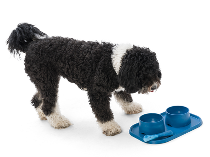 West Paw - Drifty® Dog Toy for Chew, and Fetch
