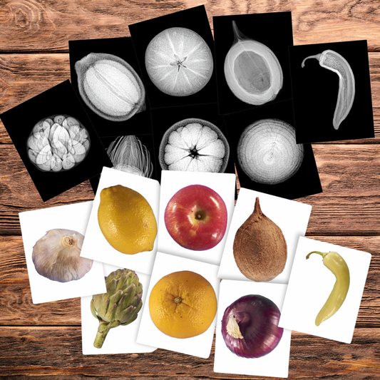 Roylco - Plant X-rays & Picture Cards Realistic STEM Learning Supply