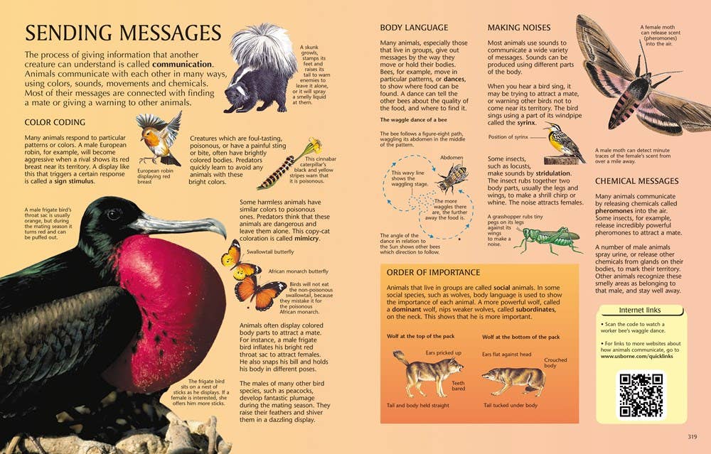 HarperCollins - Usborne Science Encyclopedia : Usborne