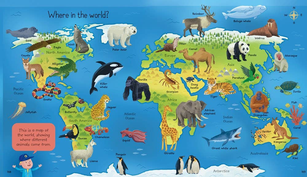 HarperCollins - My First Encyclopedia : Usborne