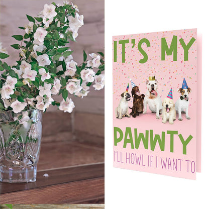SEED PACKET Birthday Card | It's My Pawwty!