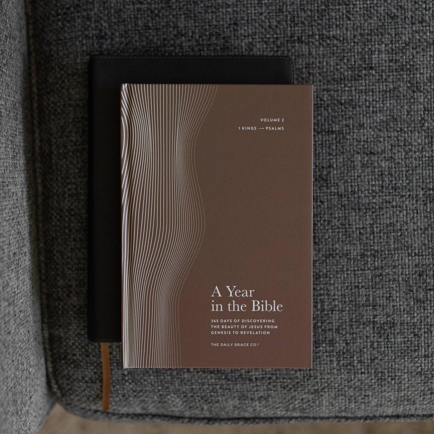 The Daily Grace Co - A Year in the Bible | Men's Study | 365 Days of Discovering the Beauty of Jesus from Genesis to Revelation | Volume 2