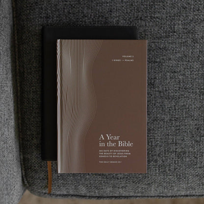 The Daily Grace Co - A Year in the Bible | Men's Study | 365 Days of Discovering the Beauty of Jesus from Genesis to Revelation | Volume 2