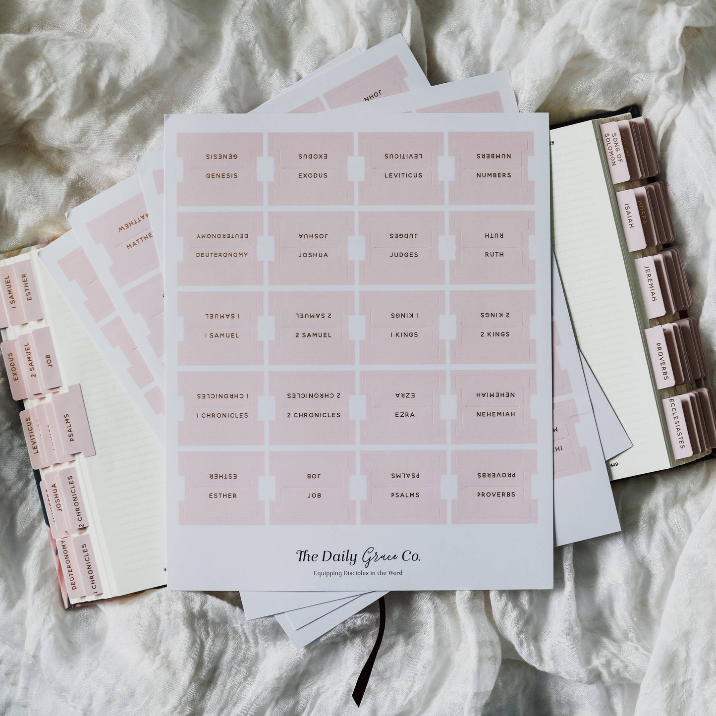 The Daily Grace Co - Blush Bible Tabs