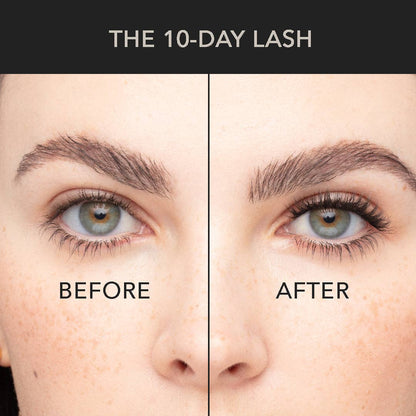 Pro Lash - Volume Shorties No. 06