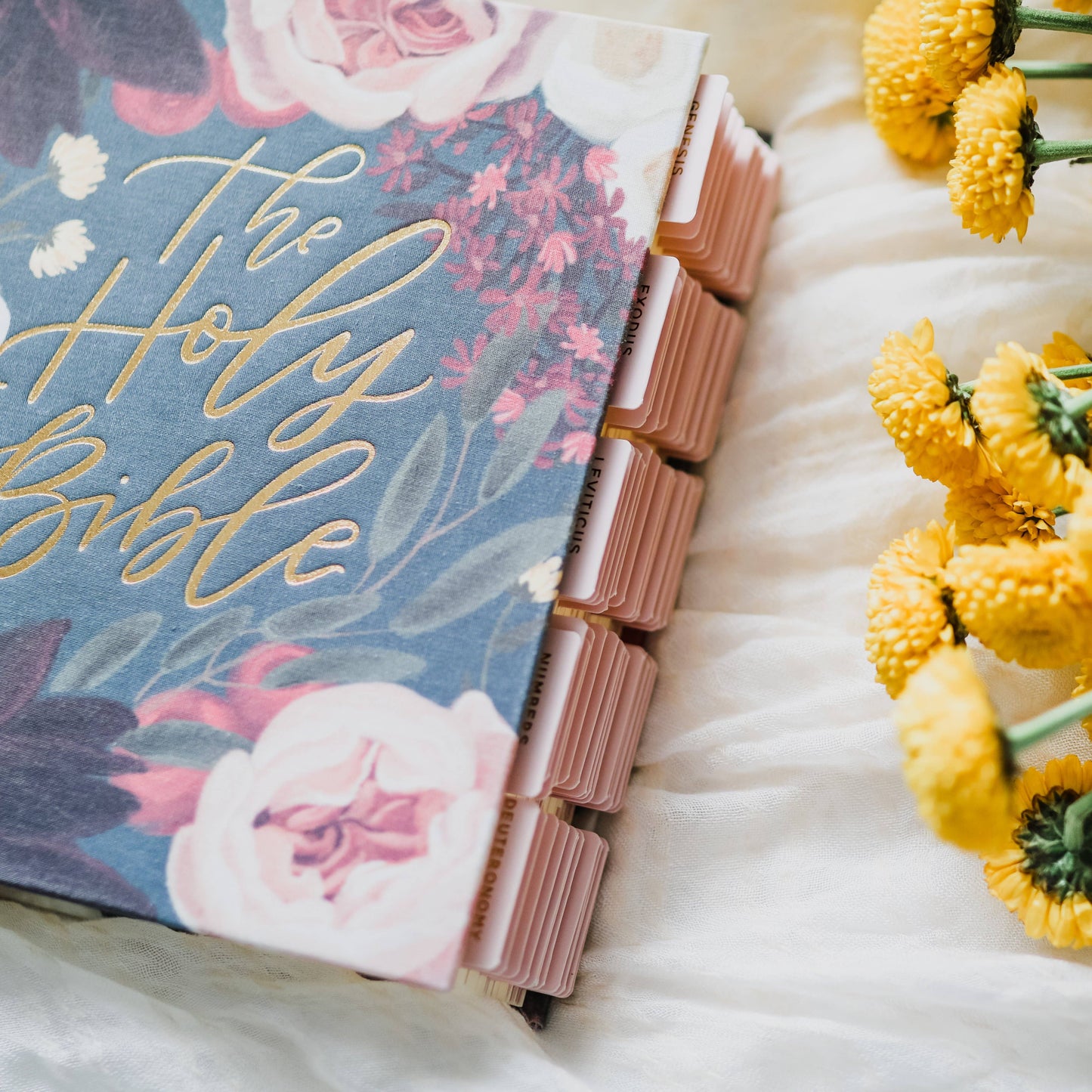 The Daily Grace Co - Blush Bible Tabs