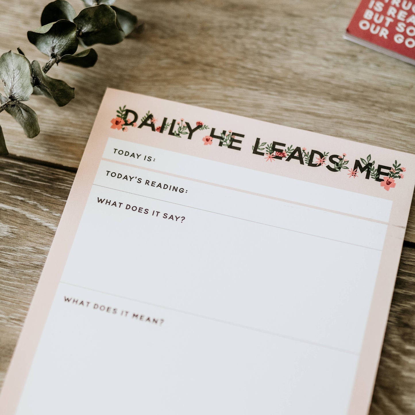 The Daily Grace Co - Daily He Leads Me Notepad | Wildflower