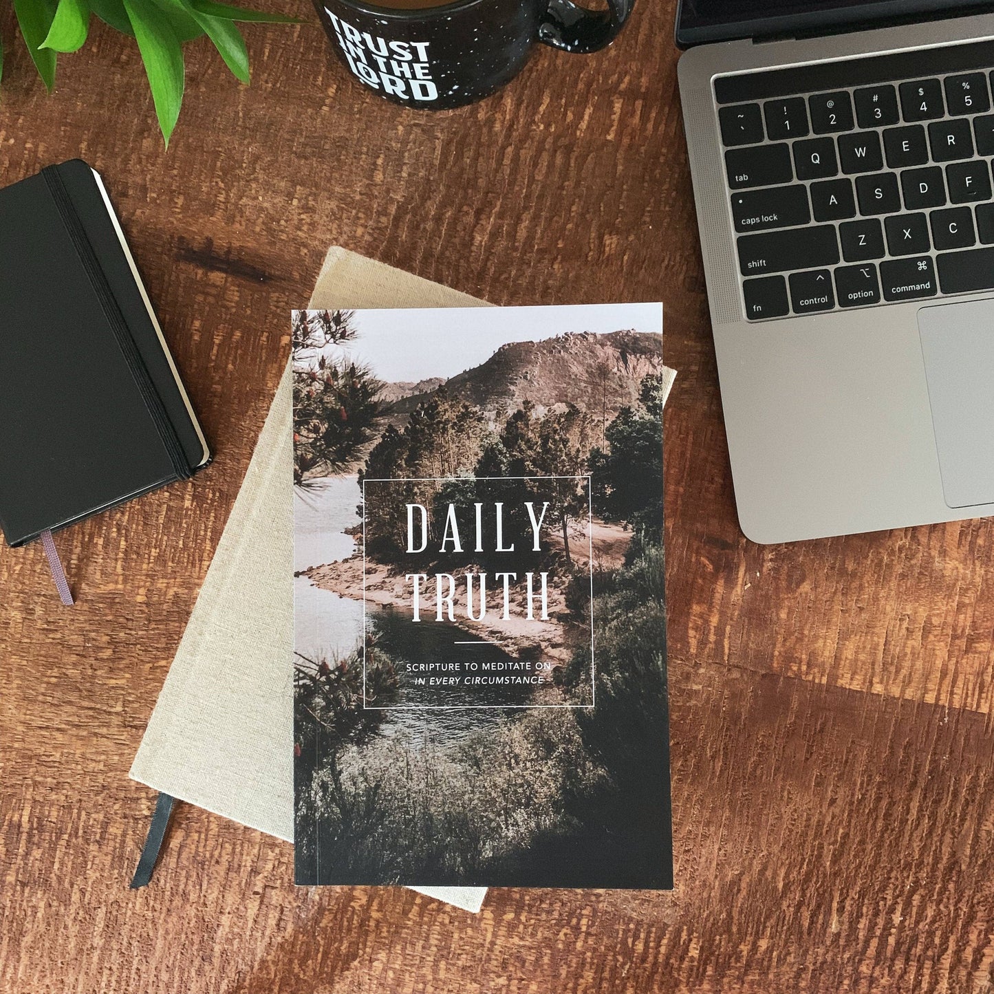 The Daily Grace Co - Daily Truth - Men