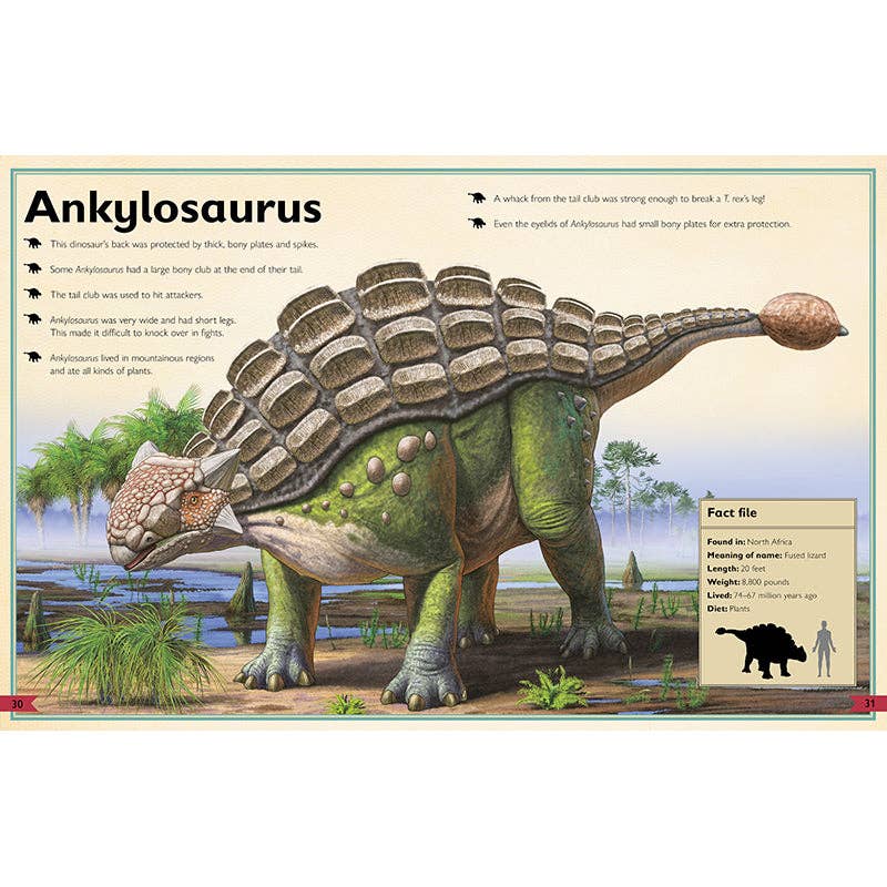 The Magnificent Book of Dinosaurs