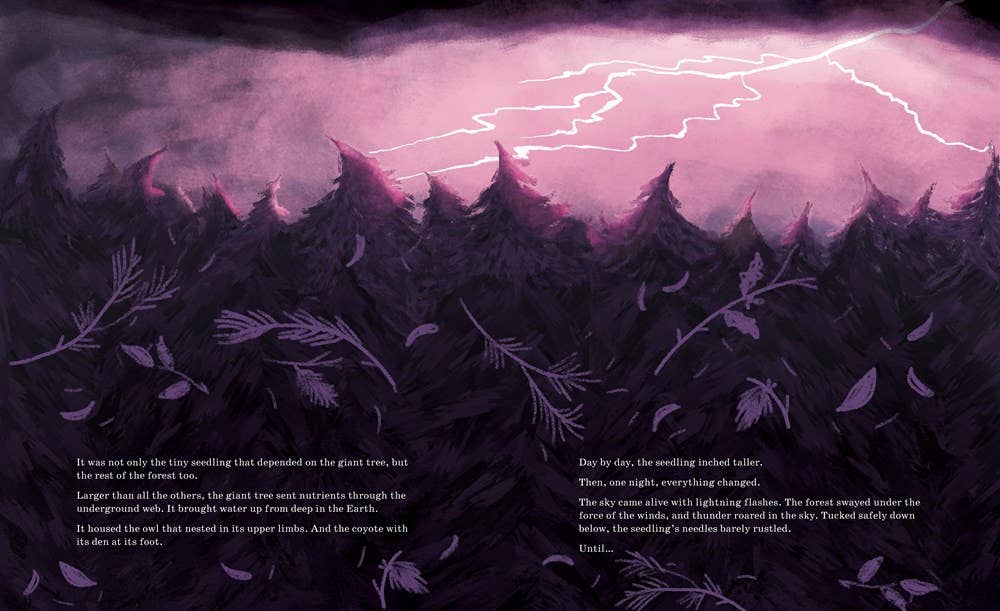 Sourcebooks - Listen to the Language of the Trees (TP)