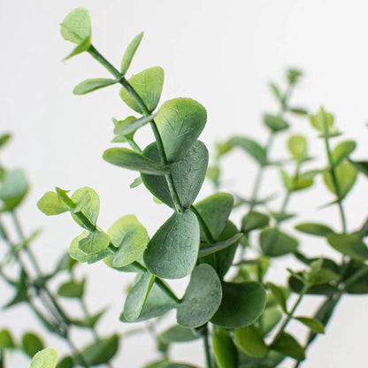 Angel Isabella - 13"Artificial Short stem plastic eucalyptus bush-5 picks