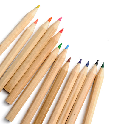 elseware unplug / eco-kids - Colored Pencils - Tall & Travel Size - 12 Colors