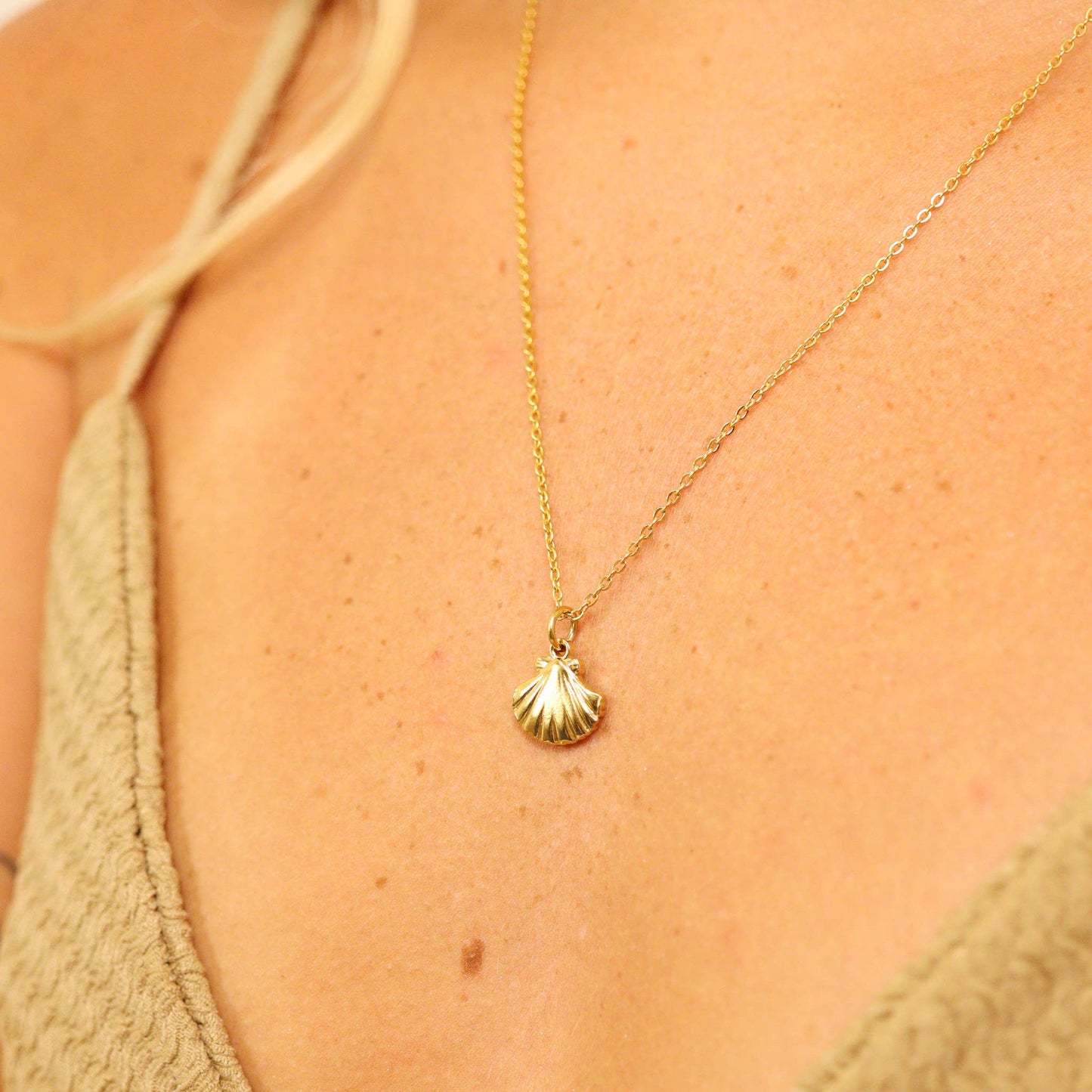 WJW - 18K Gold PVD Stainless Steel Clam Shell Charm