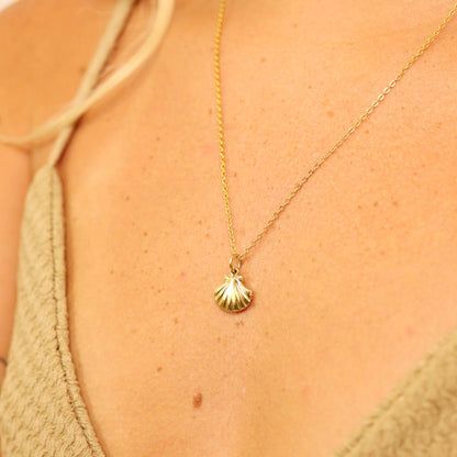 WJW - 18K Gold PVD Stainless Steel Clam Shell Charm