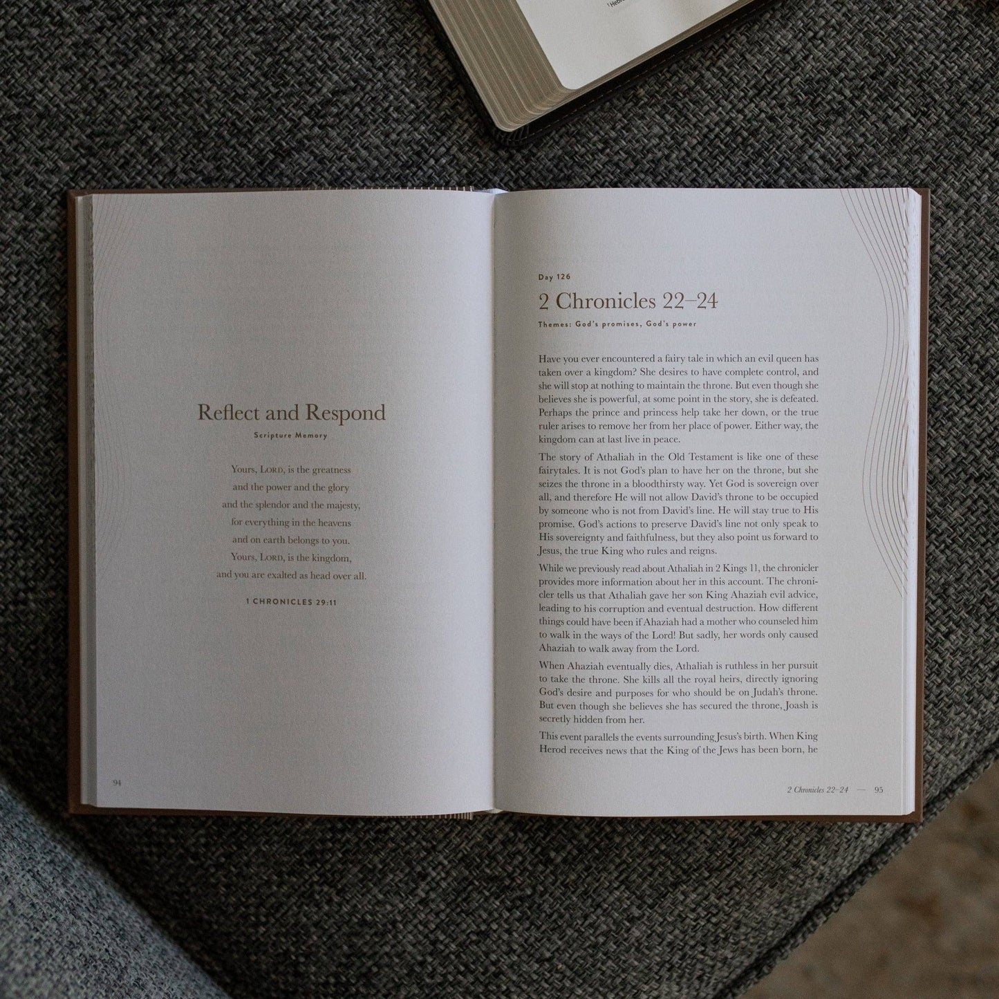 The Daily Grace Co - A Year in the Bible | Men's Study | 365 Days of Discovering the Beauty of Jesus from Genesis to Revelation | Volume 2