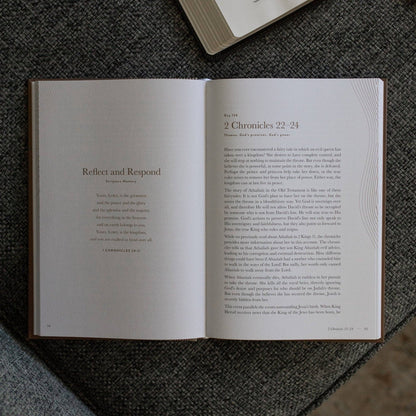The Daily Grace Co - A Year in the Bible | Men's Study | 365 Days of Discovering the Beauty of Jesus from Genesis to Revelation | Volume 2