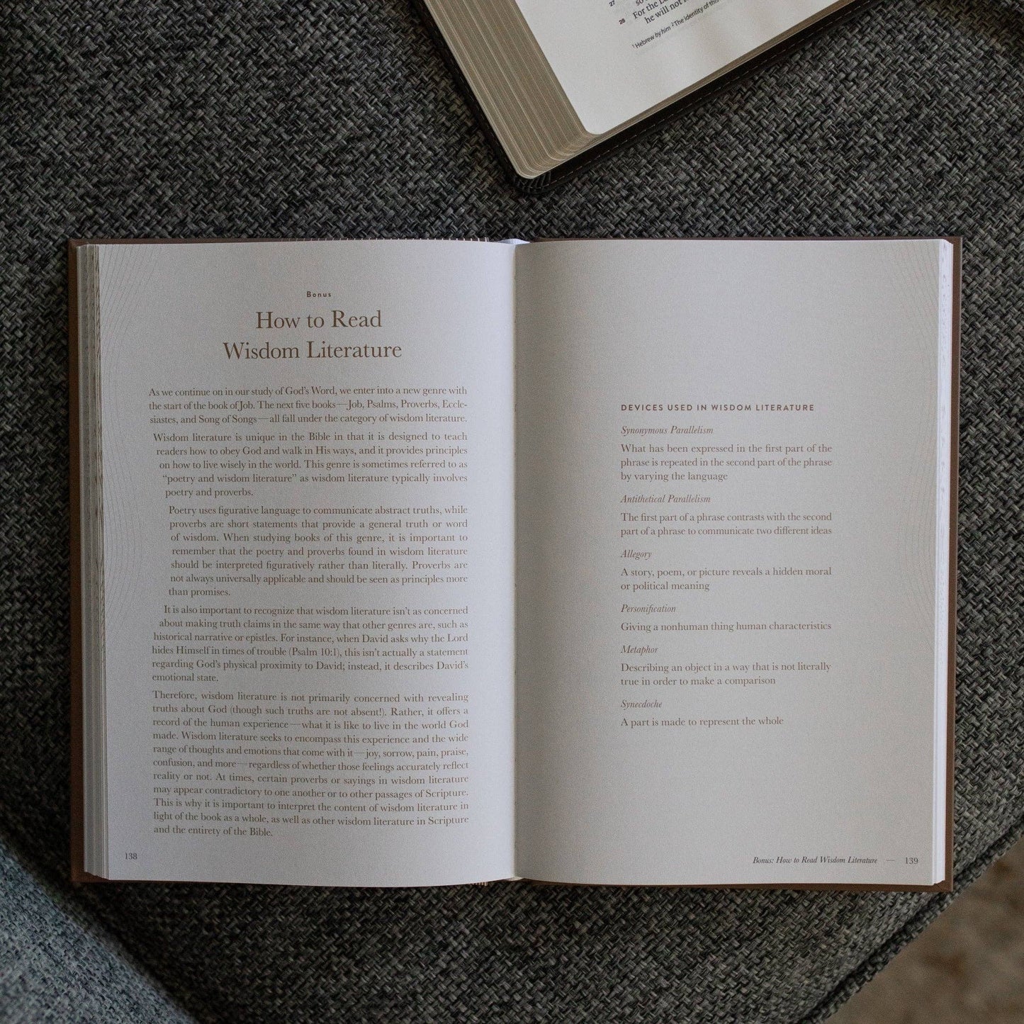 The Daily Grace Co - A Year in the Bible | Men's Study | 365 Days of Discovering the Beauty of Jesus from Genesis to Revelation | Volume 2