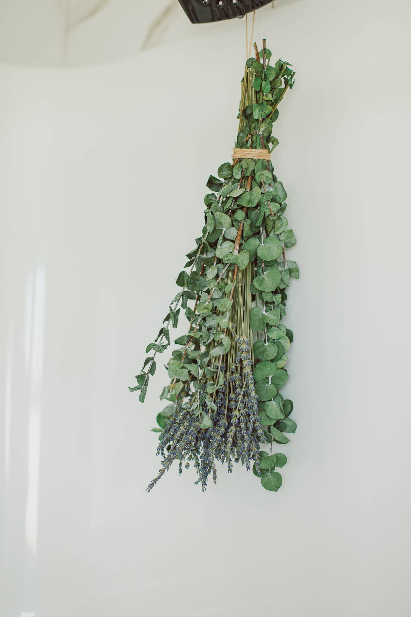 Eucalypt Co. - Eucalyptus + Lavender Shower Bundle