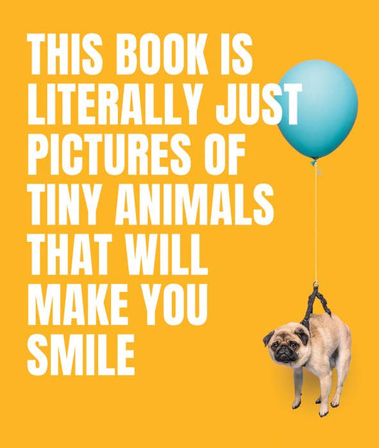Penguin Random House LLC - Pictures Tiny Animals Smile