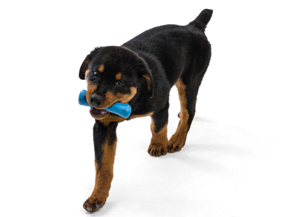West Paw - Drifty® Dog Toy for Chew, and Fetch
